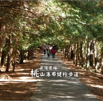 【台中 武陵農場】桃山瀑布步道 | 能遠眺雪山以及整個武陵農場的健行步道