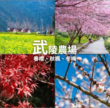 【台中 景點】武陵農場的春櫻、秋楓、冬梅 | 一個適合各季節安排出遊的絕美景點