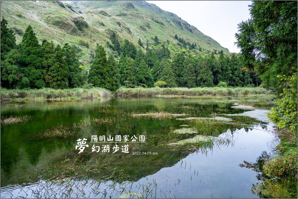 陽明山 夢幻湖步道