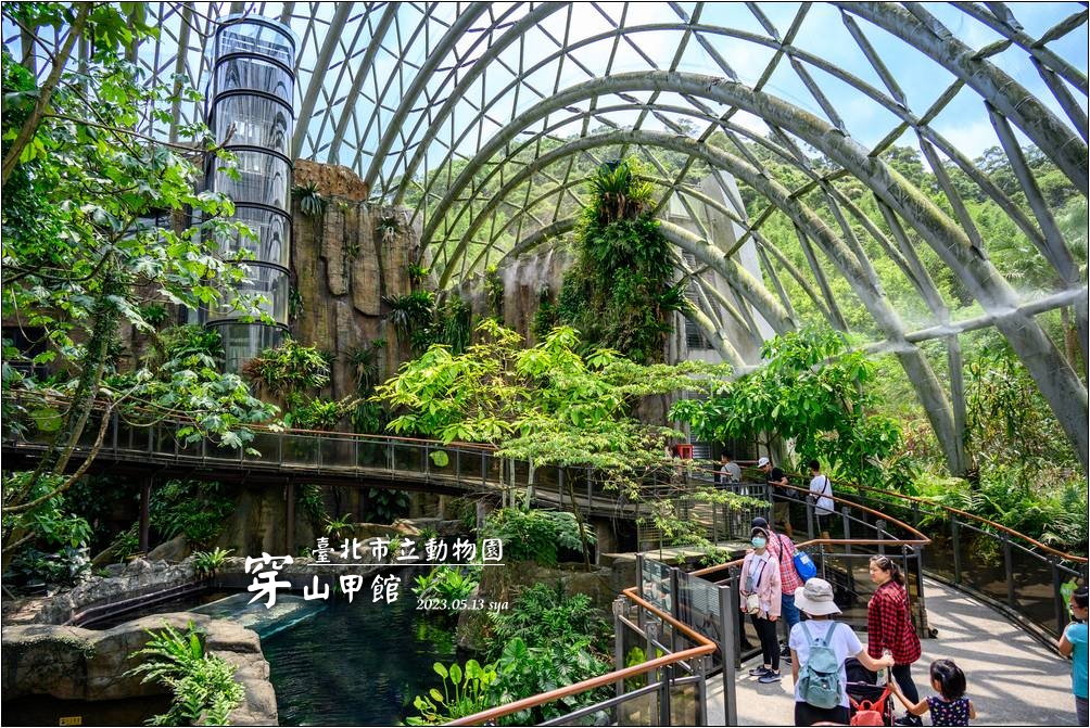 【台北 景點】臺北市立動物園｜精彩的熱帶雨林室內館（穿山甲館）與生態鳥園 | SYA(賽亞)的旅遊部落格