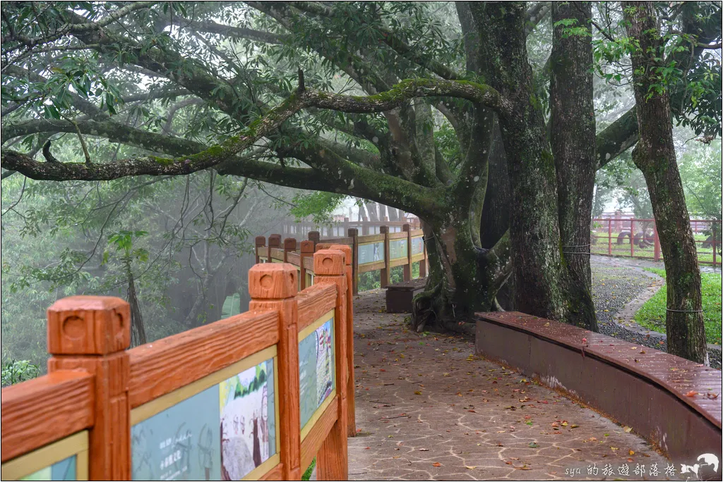 【桃園北橫 景點】角板山公園、角板山行館 79 角板山公園 角板山行館