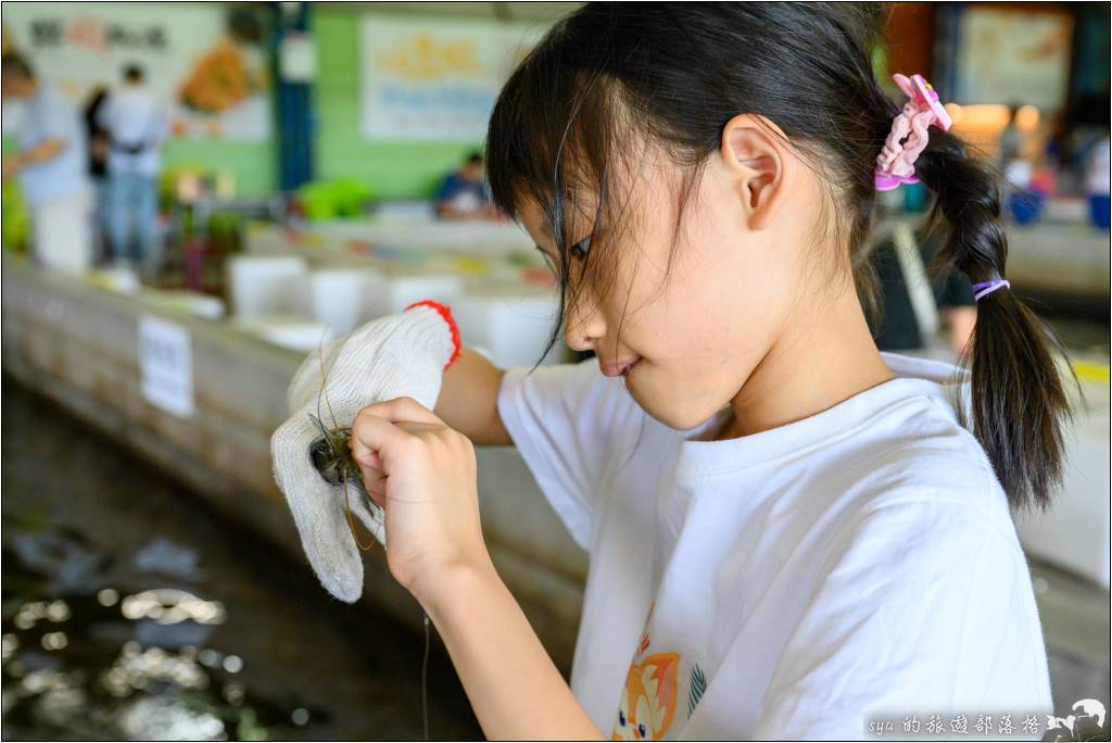 宜蘭 礁溪 6隻蝦釣蝦場