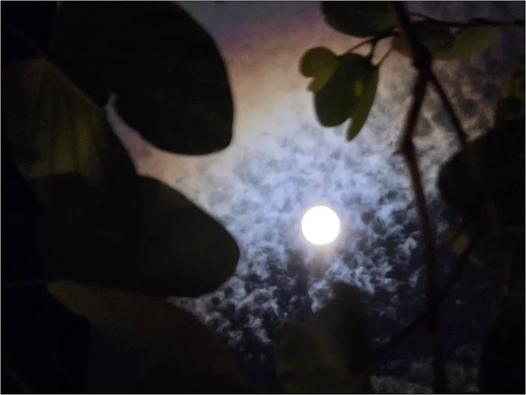 擠一下這波的彗星熱~ 9 擠一下這波的彗星熱~