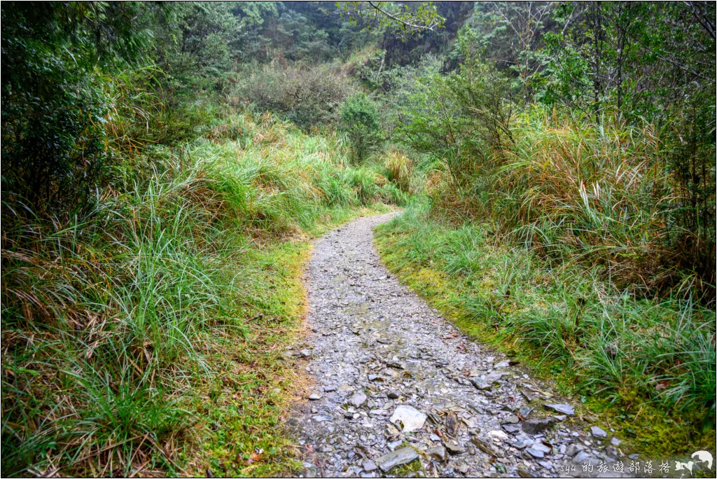 山毛櫸步道|秋季限定!雙腳走讀太平山的金黃色稜線美景 30 太平山 山毛櫸步道