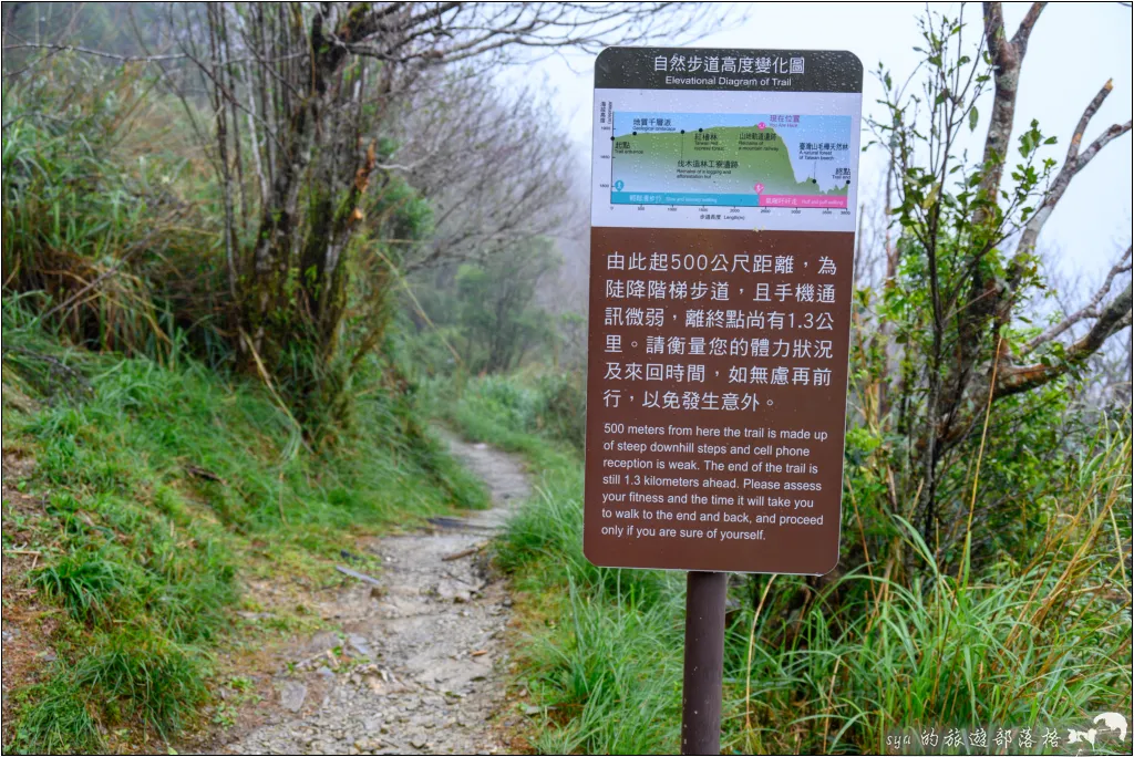 山毛櫸步道|秋季限定!雙腳走讀太平山的金黃色稜線美景 52 太平山 山毛櫸步道