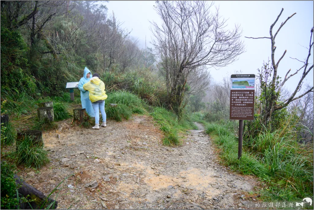山毛櫸步道|秋季限定!雙腳走讀太平山的金黃色稜線美景 51 太平山 山毛櫸步道