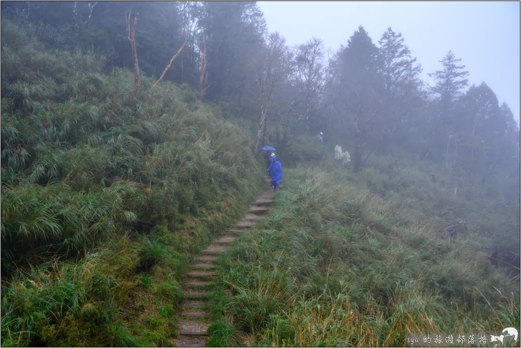 山毛櫸步道|秋季限定!雙腳走讀太平山的金黃色稜線美景 63 太平山 山毛櫸步道