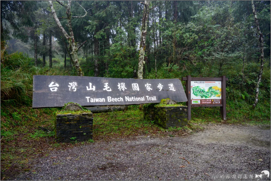山毛櫸步道|秋季限定!雙腳走讀太平山的金黃色稜線美景 8 太平山 山毛櫸步道