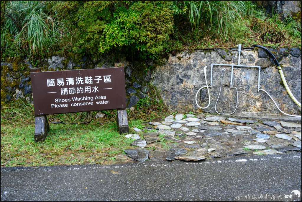 山毛櫸步道|秋季限定!雙腳走讀太平山的金黃色稜線美景 71 太平山 山毛櫸步道