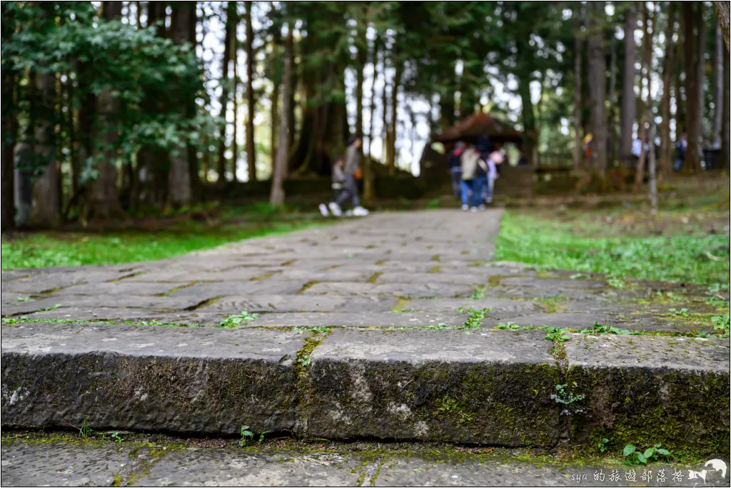 阿里山 | 日出、雲海、鐵路、森林、晚霞 (中) 16 鳴日號 阿里山森林遊樂區