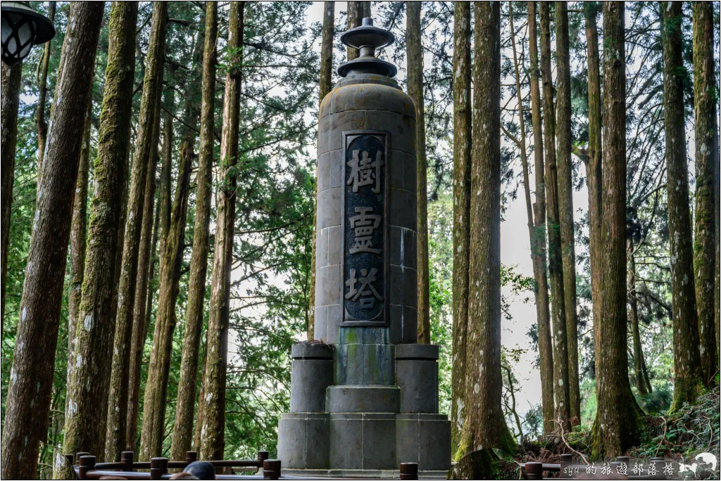阿里山 | 日出、雲海、鐵路、森林、晚霞 (中) 13 鳴日號 阿里山森林遊樂區 樹靈塔