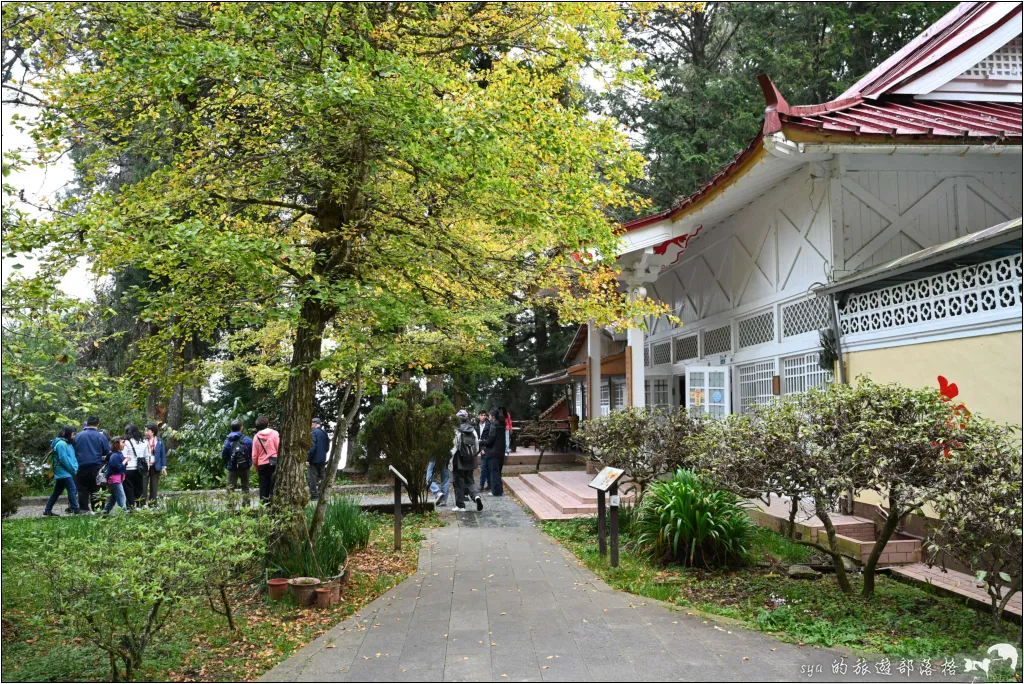 阿里山 | 日出、雲海、鐵路、森林、晚霞 (中) 29 鳴日號 阿里山森林遊樂區 慈雲寺