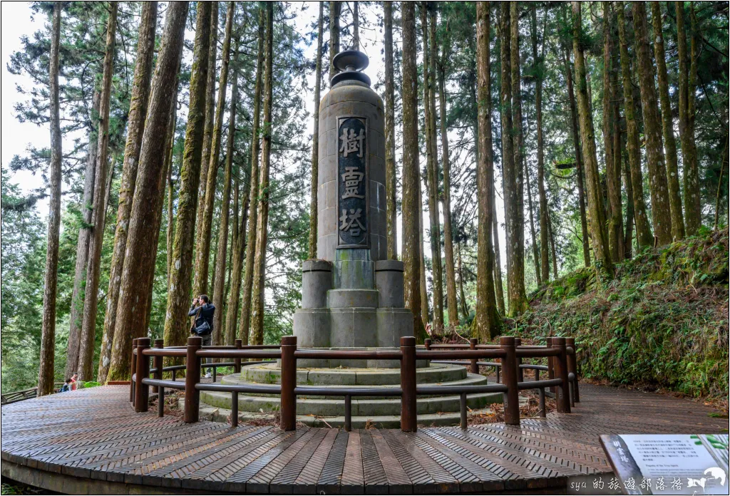 阿里山 | 日出、雲海、鐵路、森林、晚霞 (中) 11 鳴日號 阿里山森林遊樂區 樹靈塔