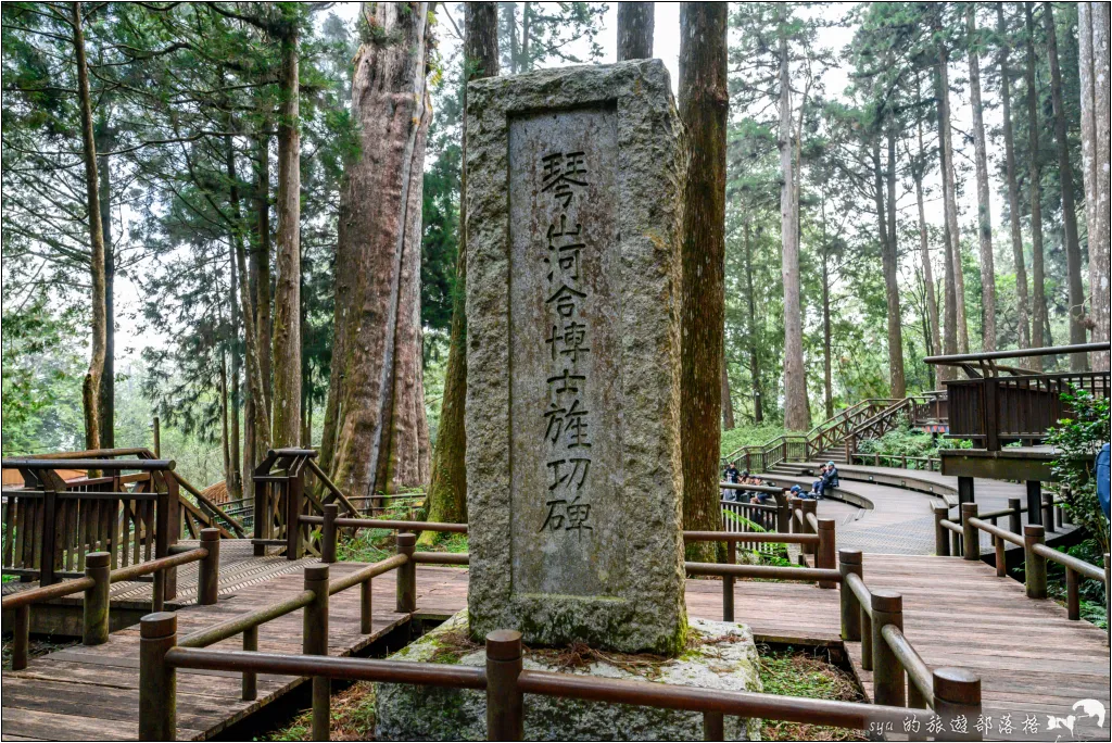 阿里山 | 日出、雲海、鐵路、森林、晚霞 (中) 14 鳴日號 阿里山森林遊樂區