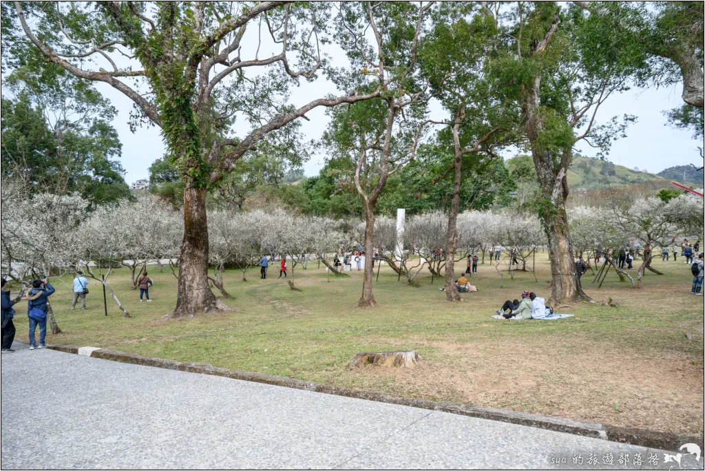 【桃園北橫 景點】角板山公園、角板山行館 13 角板山公園、角板山行館、角板山梅花季、角板山戰備隧道