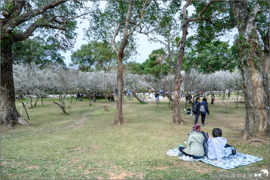 【桃園北橫 景點】角板山公園、角板山行館 12 角板山公園、角板山行館、角板山梅花季、角板山戰備隧道
