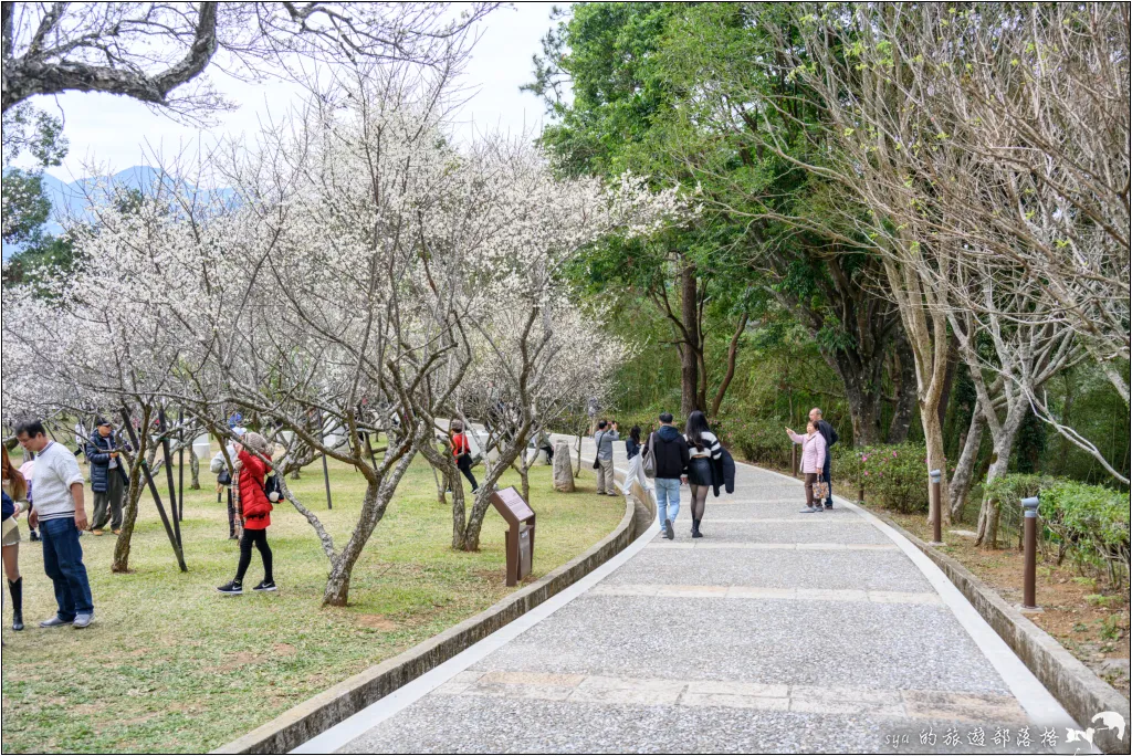 【桃園北橫 景點】角板山公園、角板山行館 29 角板山公園、角板山行館、角板山梅花季、角板山戰備隧道