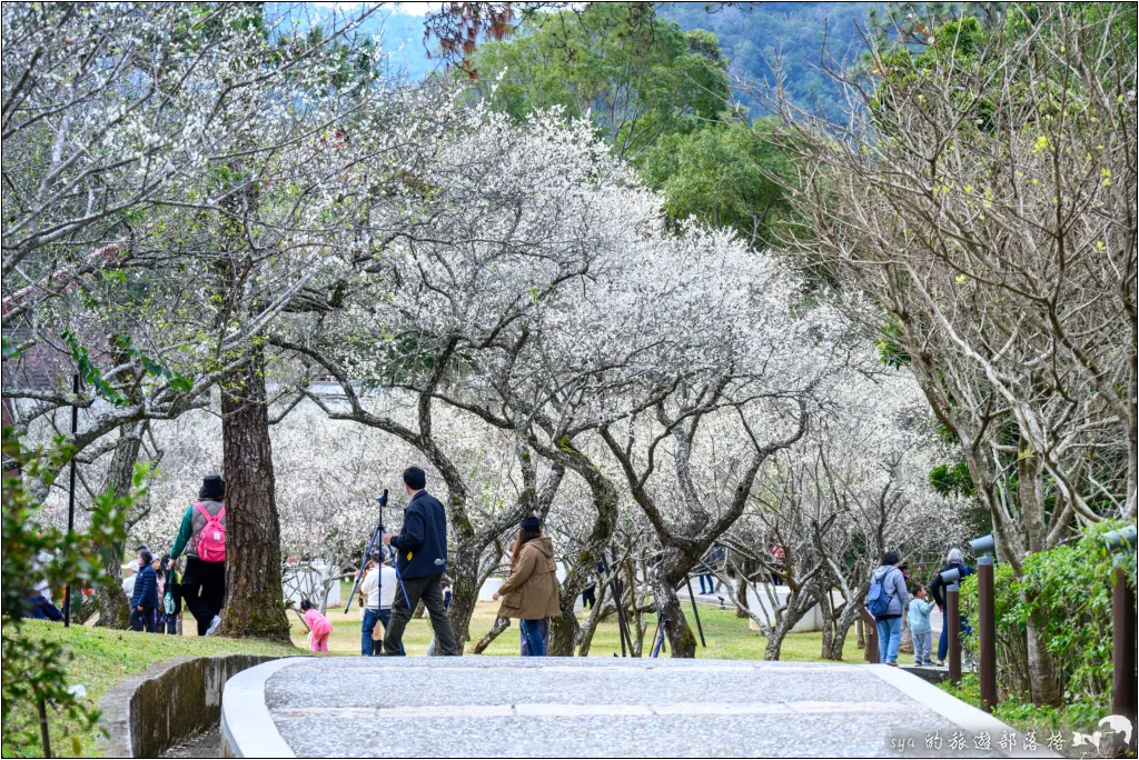 【桃園北橫 景點】角板山公園、角板山行館 30 角板山公園、角板山行館、角板山梅花季、角板山戰備隧道