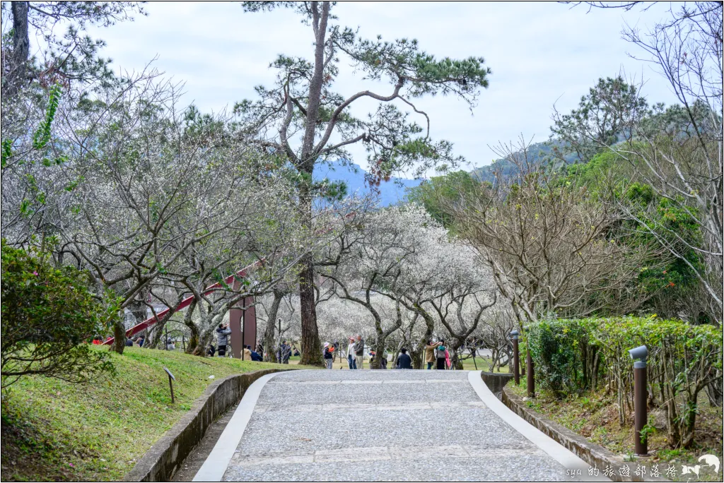 【桃園北橫 景點】角板山公園、角板山行館 31 角板山公園、角板山行館、角板山梅花季、角板山戰備隧道
