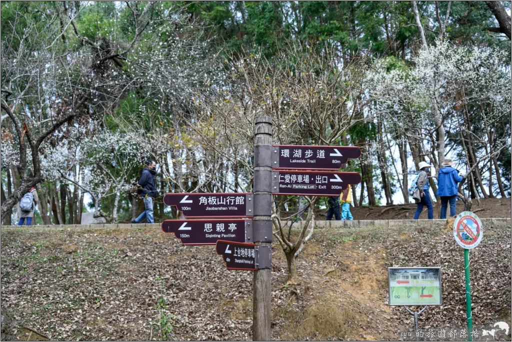 【桃園北橫 景點】角板山公園、角板山行館 7 角板山公園、角板山行館、角板山梅花季、角板山戰備隧道