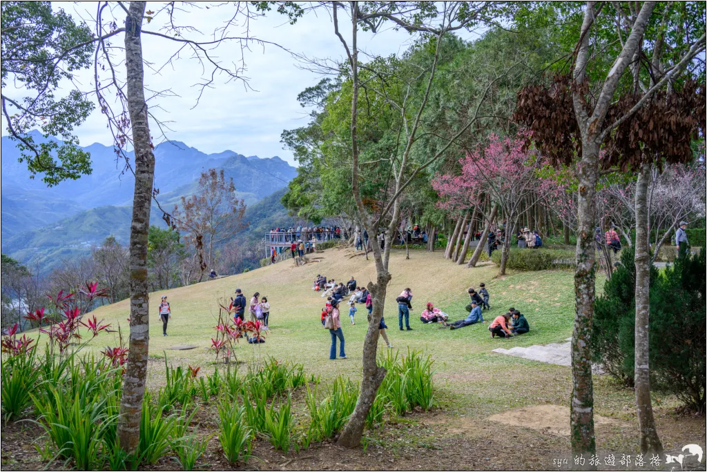 【桃園北橫 景點】角板山公園、角板山行館 18 角板山公園、角板山行館、角板山梅花季、角板山戰備隧道
