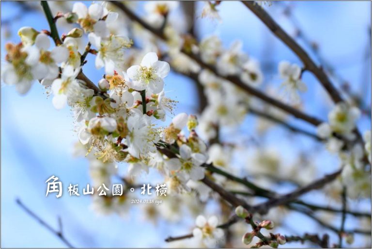 【桃園北橫 景點】角板山公園、角板山行館 1 角板山公園