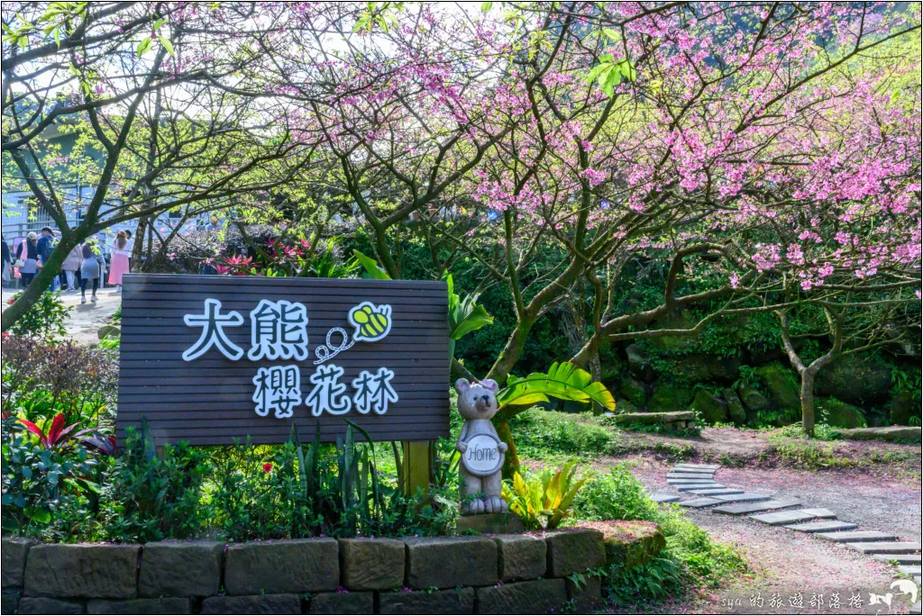 【台北三峽】大熊櫻花林|超過4000顆粉色櫻花的北部賞櫻聖地 11 三峽大熊櫻花林