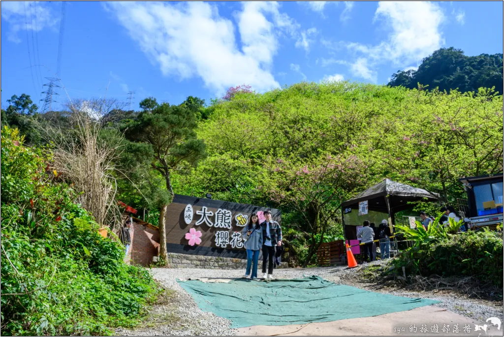 【台北三峽】大熊櫻花林|超過4000顆粉色櫻花的北部賞櫻聖地 6 三峽大熊櫻花林