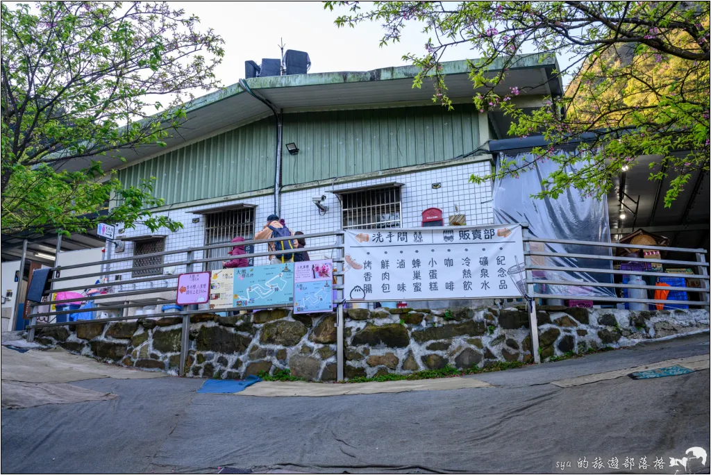 【台北三峽】大熊櫻花林|超過4000顆粉色櫻花的北部賞櫻聖地 12 三峽大熊櫻花林