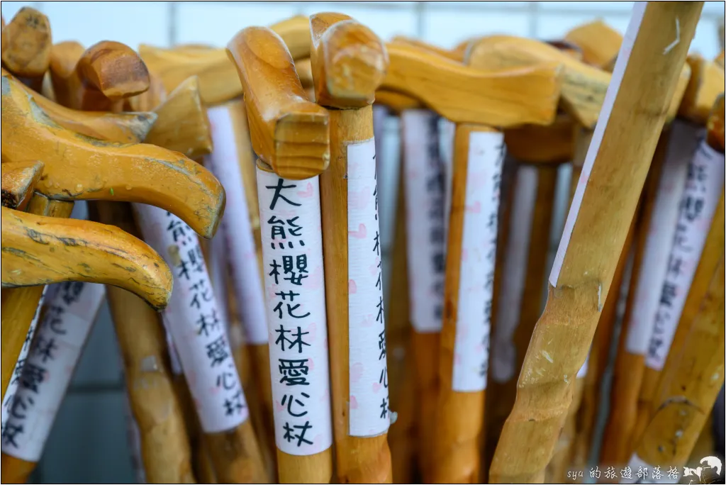 【台北三峽】大熊櫻花林|超過4000顆粉色櫻花的北部賞櫻聖地 15 三峽大熊櫻花林
