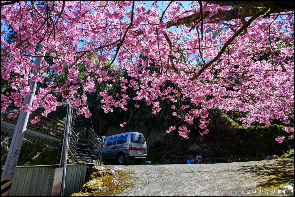 【南投杉林溪】忘憂森林|921大地震後的夢幻偃塞湖 50 南投杉林溪 忘憂森林