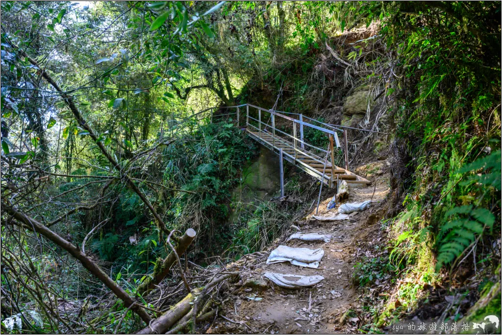 【南投杉林溪】忘憂森林|921大地震後的夢幻偃塞湖 5 南投杉林溪 忘憂森林