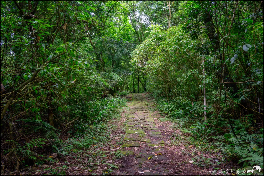 猴崁湖田國小步道|陽明山竹子湖的秘境古道,途中還有奧入瀨溪般的小溪美景 29 猴崁湖田國小步道