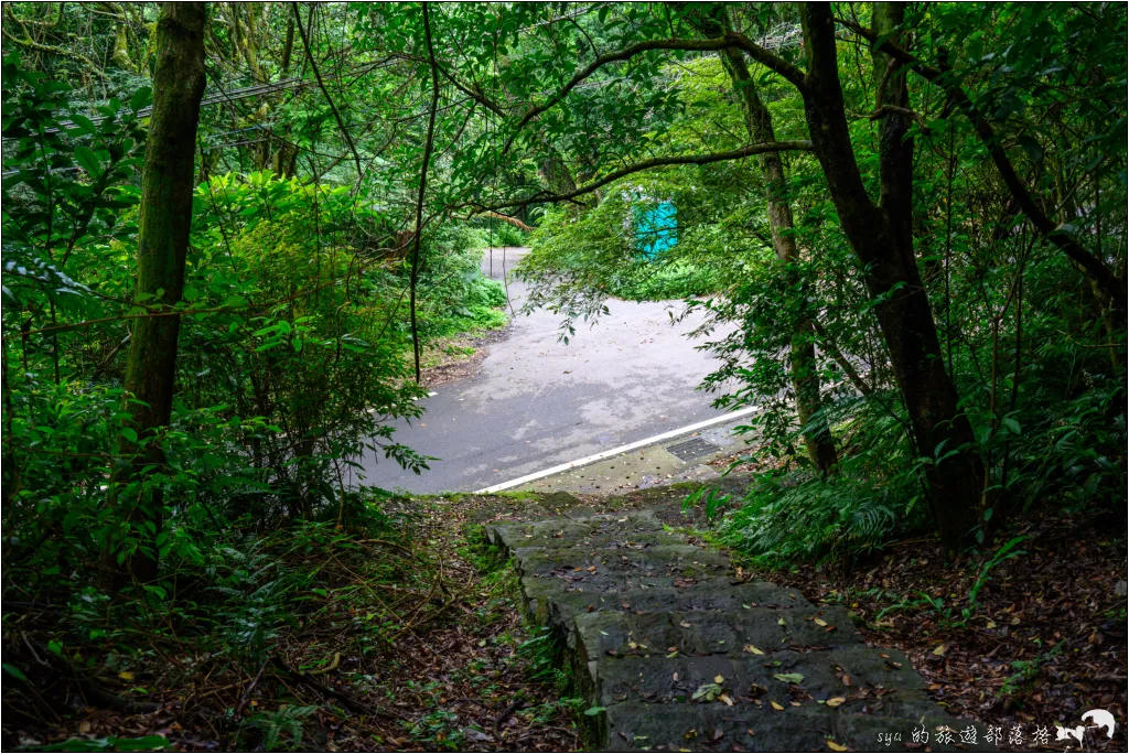 猴崁湖田國小步道|陽明山竹子湖的秘境古道,途中還有奧入瀨溪般的小溪美景 31 猴崁湖田國小步道