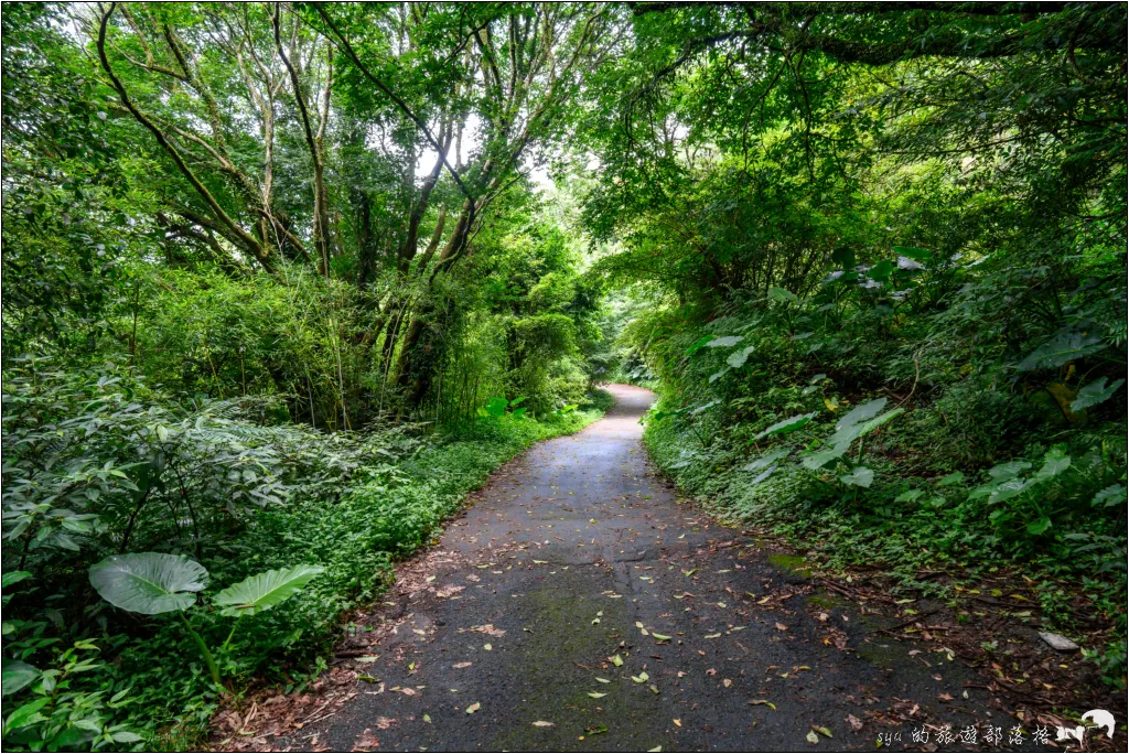 猴崁湖田國小步道|陽明山竹子湖的秘境古道,途中還有奧入瀨溪般的小溪美景 34 猴崁湖田國小步道