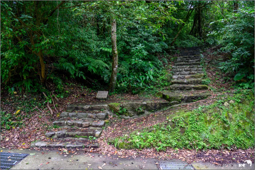 猴崁湖田國小步道|陽明山竹子湖的秘境古道,途中還有奧入瀨溪般的小溪美景 33 猴崁湖田國小步道