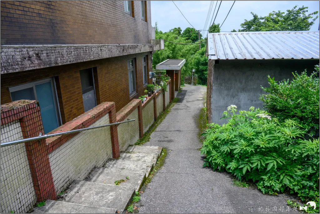 猴崁湖田國小步道|陽明山竹子湖的秘境古道,途中還有奧入瀨溪般的小溪美景 11 猴崁湖田國小步道