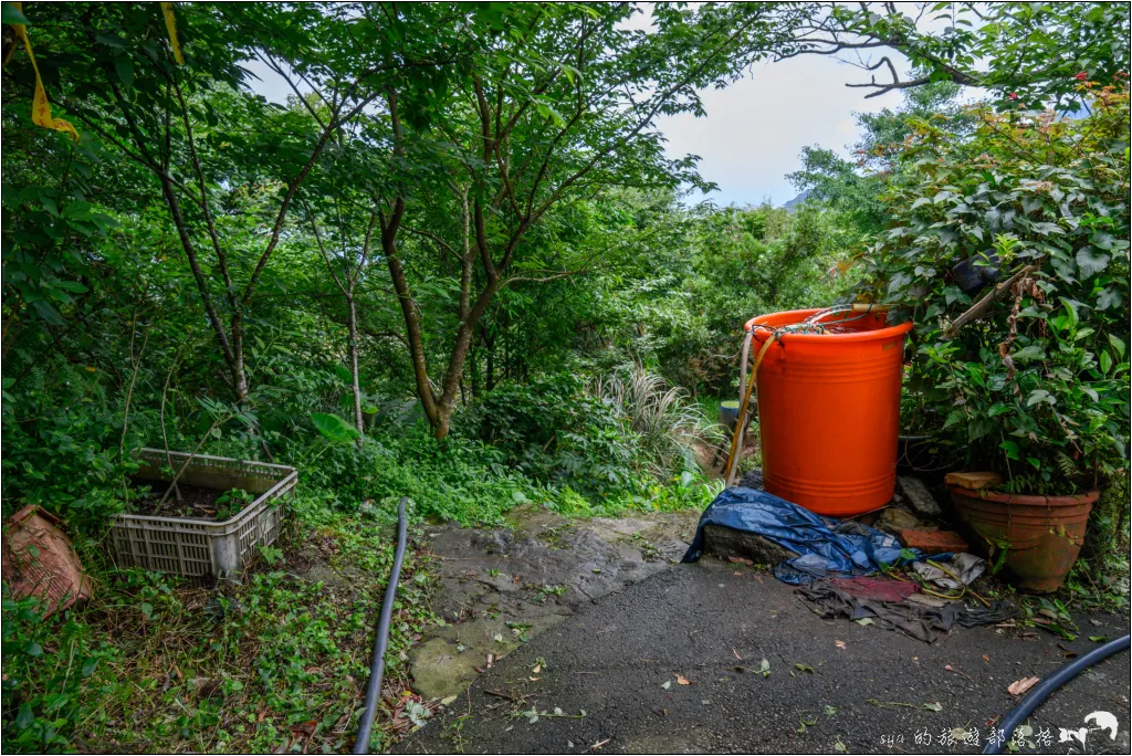 猴崁湖田國小步道|陽明山竹子湖的秘境古道,途中還有奧入瀨溪般的小溪美景 12 猴崁湖田國小步道