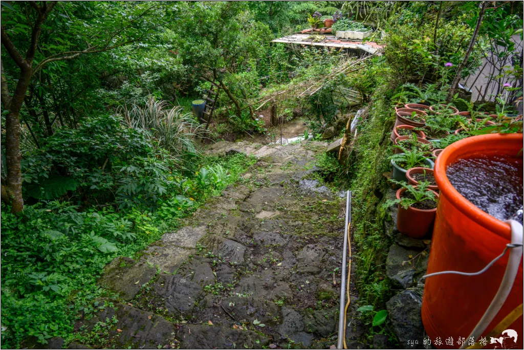 猴崁湖田國小步道|陽明山竹子湖的秘境古道,途中還有奧入瀨溪般的小溪美景 13 猴崁湖田國小步道