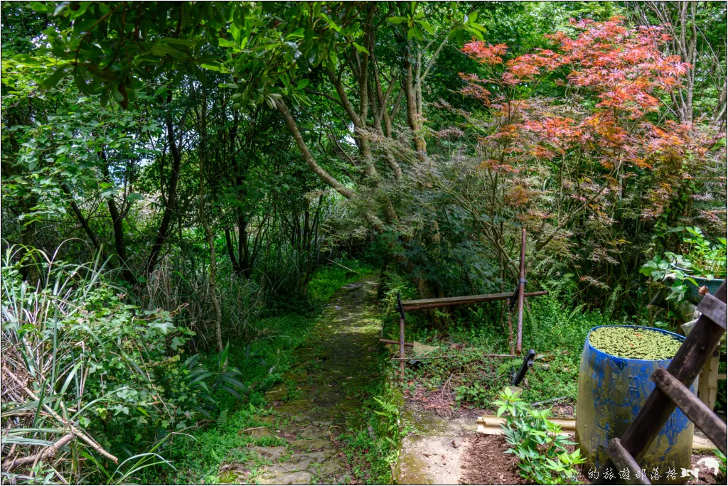 猴崁湖田國小步道|陽明山竹子湖的秘境古道,途中還有奧入瀨溪般的小溪美景 15 猴崁湖田國小步道
