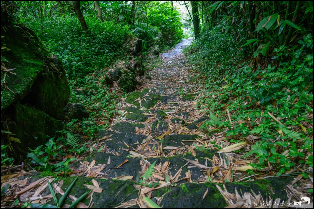 猴崁湖田國小步道|陽明山竹子湖的秘境古道,途中還有奧入瀨溪般的小溪美景 16 猴崁湖田國小步道