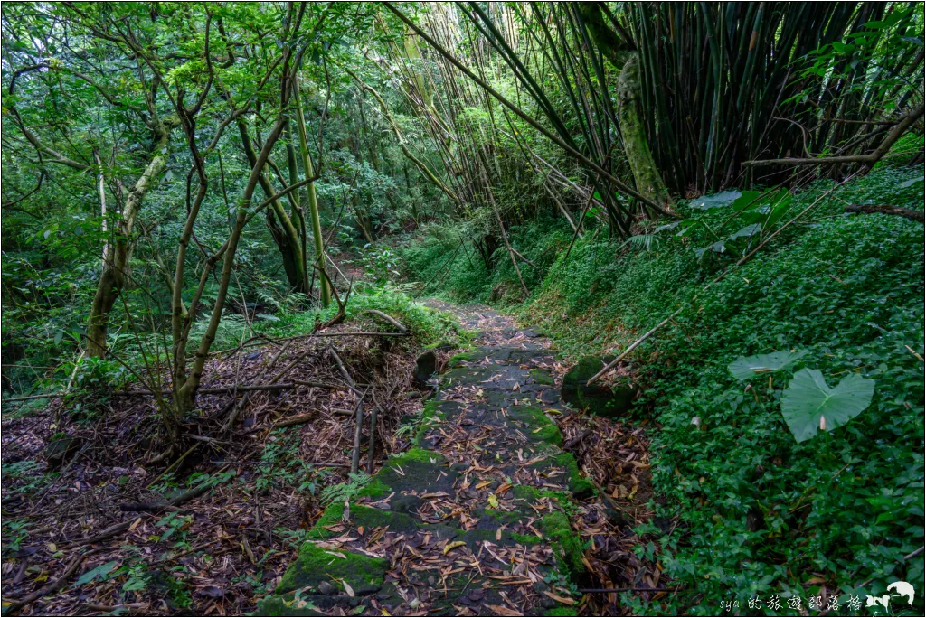 猴崁湖田國小步道|陽明山竹子湖的秘境古道,途中還有奧入瀨溪般的小溪美景 19 猴崁湖田國小步道