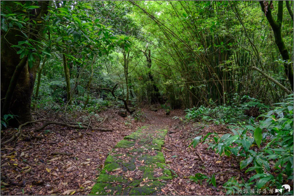 猴崁湖田國小步道|陽明山竹子湖的秘境古道,途中還有奧入瀨溪般的小溪美景 20 猴崁湖田國小步道