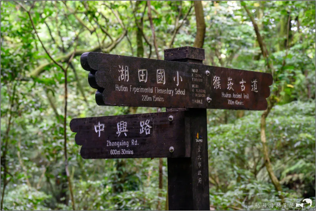 猴崁湖田國小步道|陽明山竹子湖的秘境古道,途中還有奧入瀨溪般的小溪美景 22 猴崁湖田國小步道