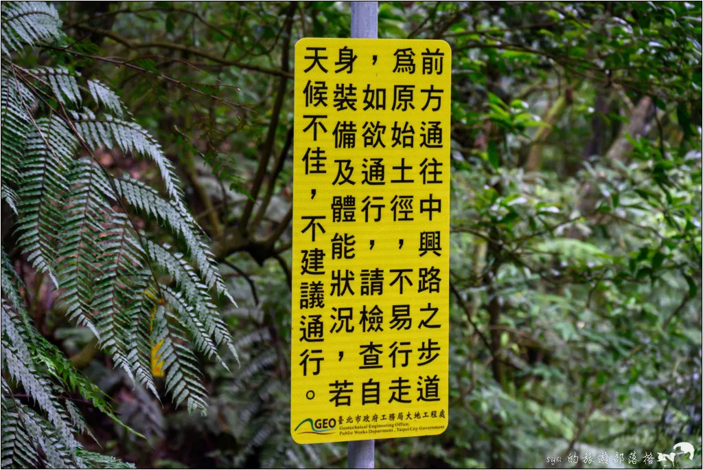 猴崁湖田國小步道|陽明山竹子湖的秘境古道,途中還有奧入瀨溪般的小溪美景 23 猴崁湖田國小步道