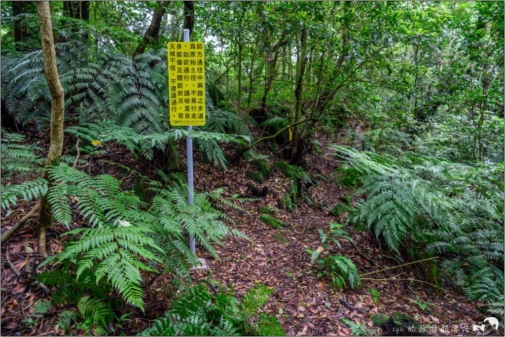 猴崁湖田國小步道|陽明山竹子湖的秘境古道,途中還有奧入瀨溪般的小溪美景 24 猴崁湖田國小步道