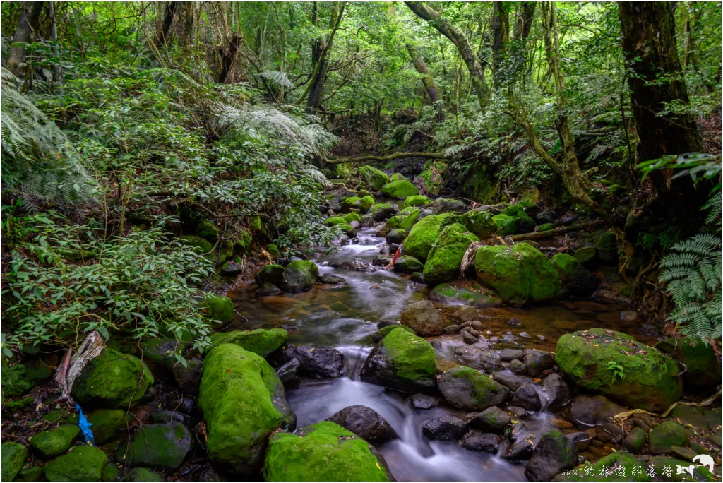 猴崁湖田國小步道|陽明山竹子湖的秘境古道,途中還有奧入瀨溪般的小溪美景 25 猴崁湖田國小步道