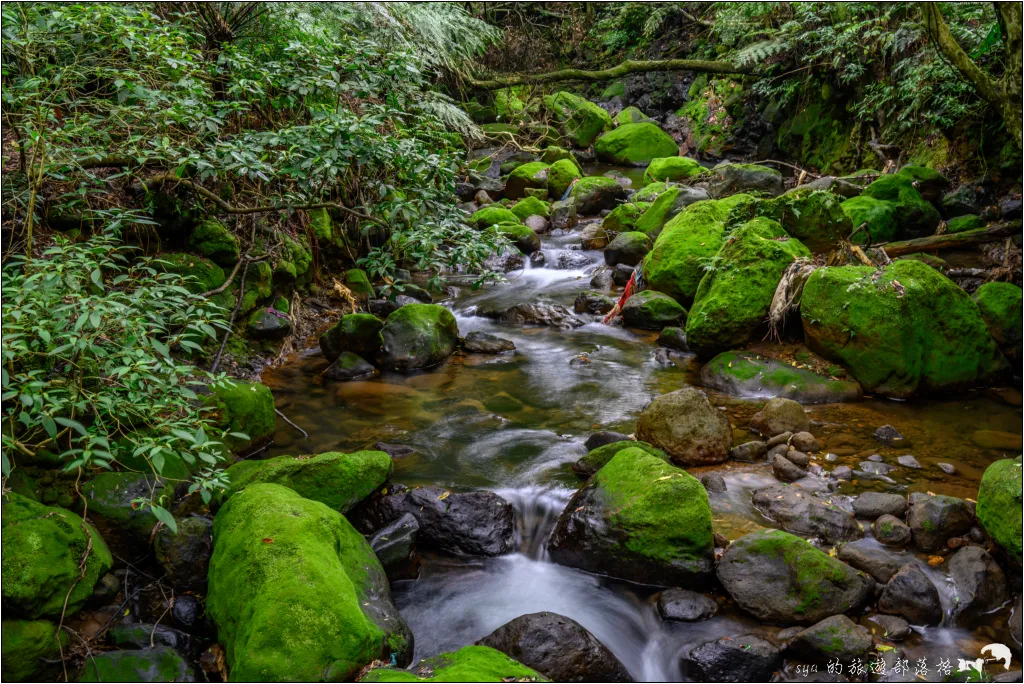 猴崁湖田國小步道|陽明山竹子湖的秘境古道,途中還有奧入瀨溪般的小溪美景 26 猴崁湖田國小步道
