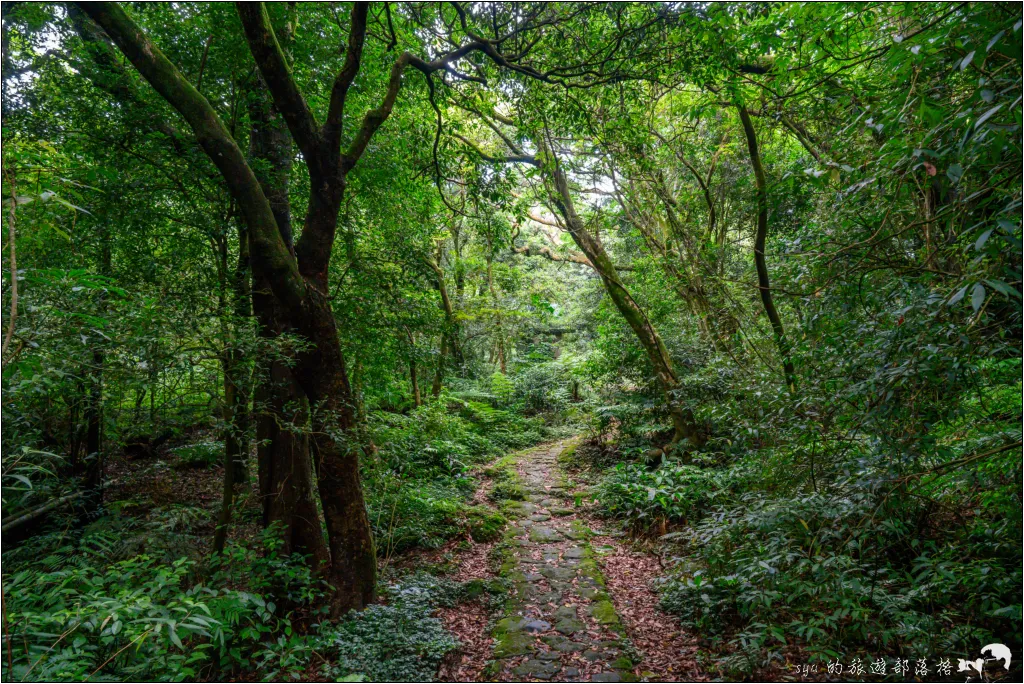 猴崁湖田國小步道|陽明山竹子湖的秘境古道,途中還有奧入瀨溪般的小溪美景 27 猴崁湖田國小步道
