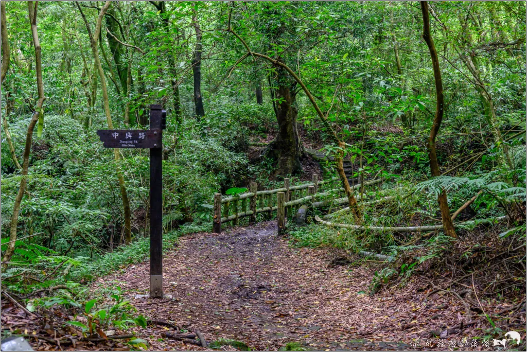 猴崁湖田國小步道|陽明山竹子湖的秘境古道,途中還有奧入瀨溪般的小溪美景 21 猴崁湖田國小步道